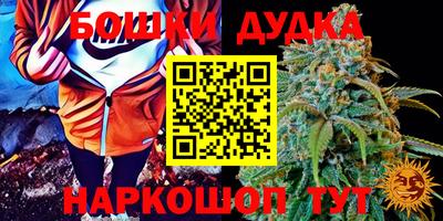 ешки Гагарин