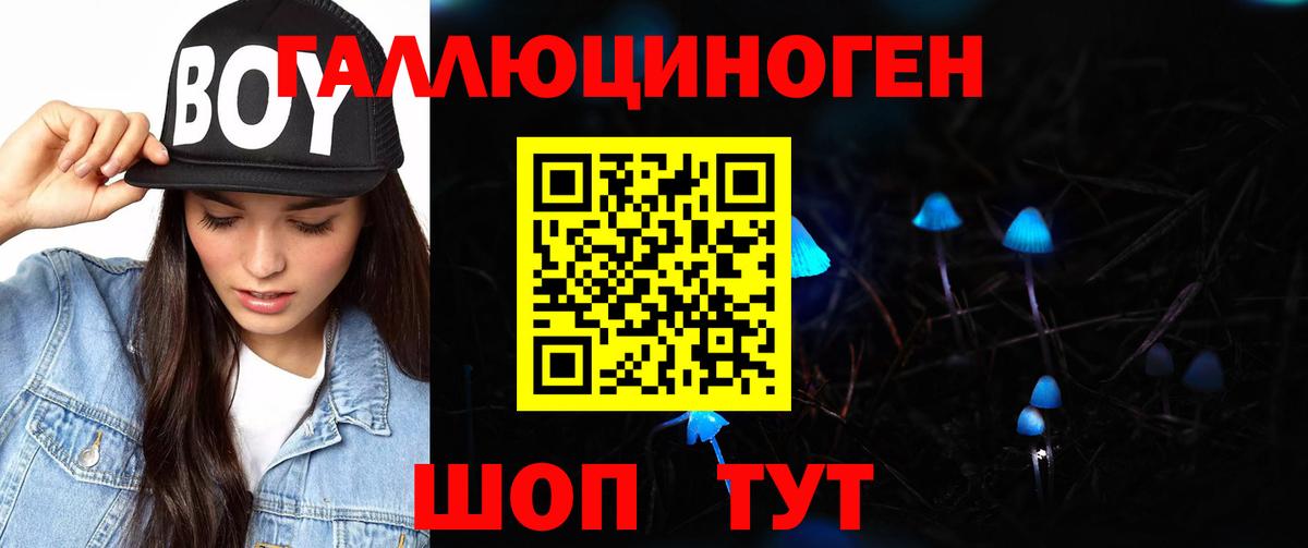 Псилоцибиновые грибы Psilocybine cubensis Мыски