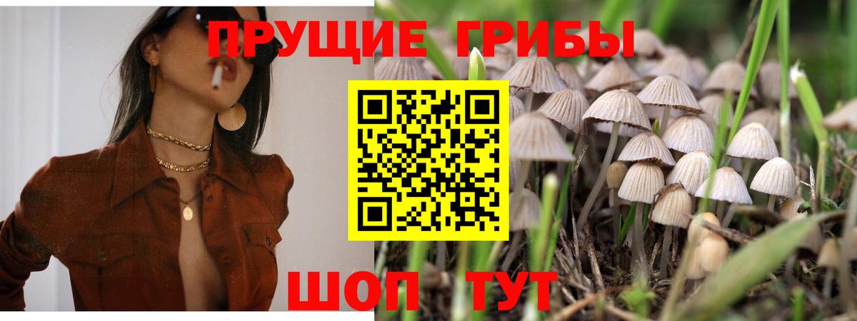 Галлюциногенные грибы Magic Shrooms  Вход с VPN  Мыски 